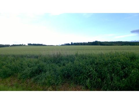 Foto 59